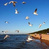 Besuch des Badeortes Jurmala von Riga