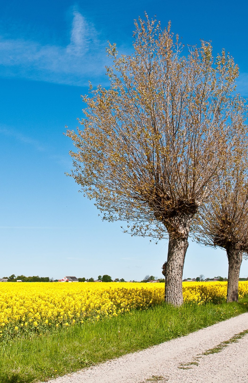 Kopenhagen & Schweden für Einsteiger