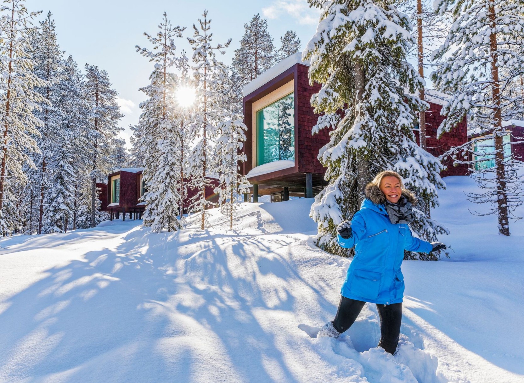 Arctic TreeHouse & Nordlichter