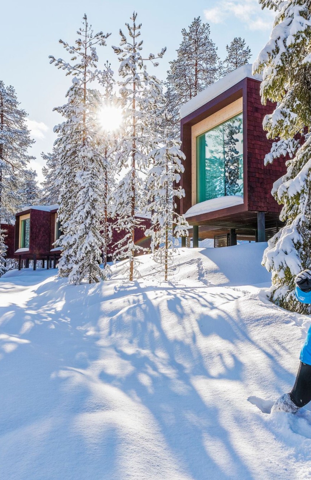 Arctic TreeHouse & Nordlichter