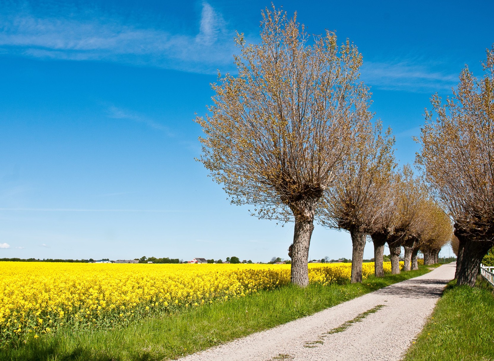 Kopenhagen & Schweden für Einsteiger