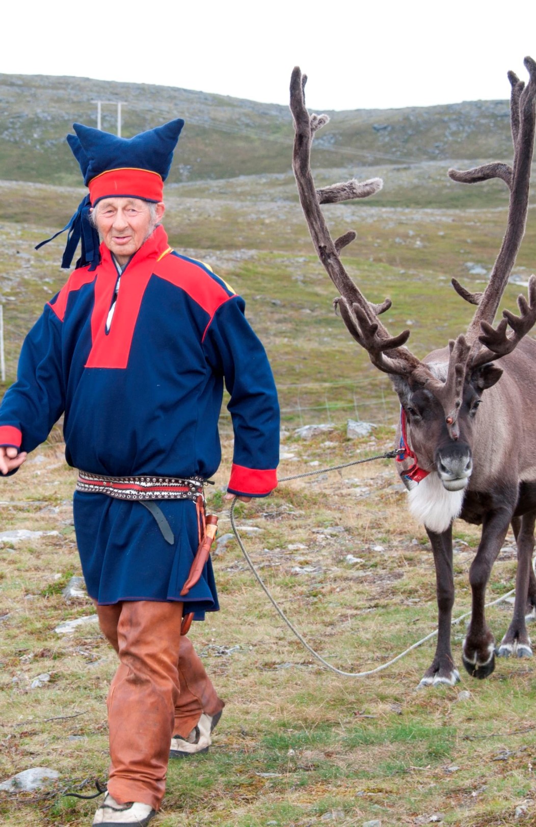 Arktisches Sommerabenteuer & Tromsø